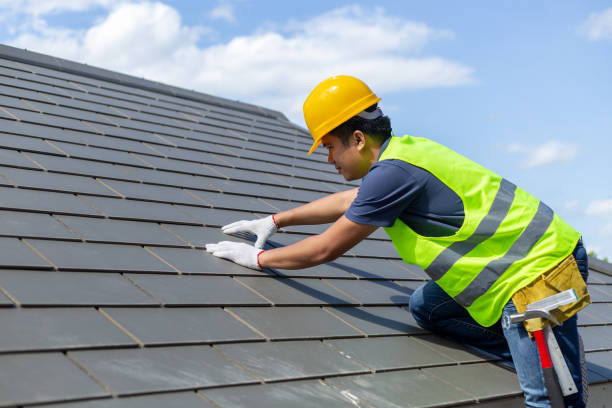 Best Roof Repair Services  in Harlan, IA