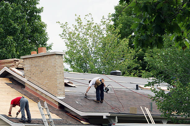 Best Metal Roofing Contractor  in Harlan, IA