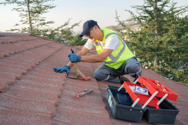 Best Metal Roofing Contractor  in Harlan, IA