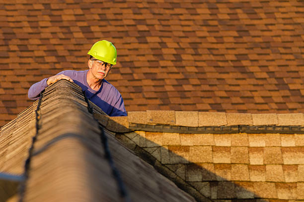 Best Roof Restoration Services  in Harlan, IA