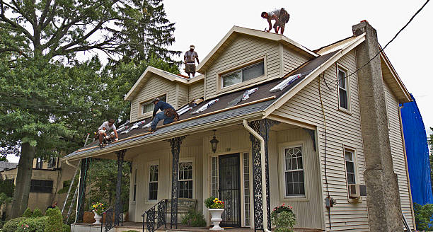 Best Best Roofing Contractors  in Harlan, IA