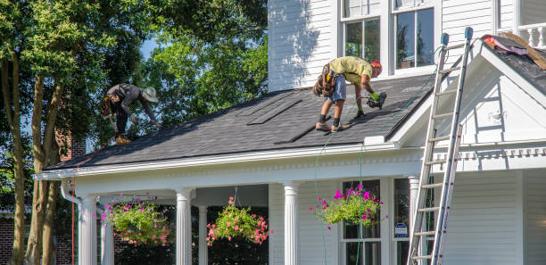 Best Storm Damage Roof Repair  in Harlan, IA