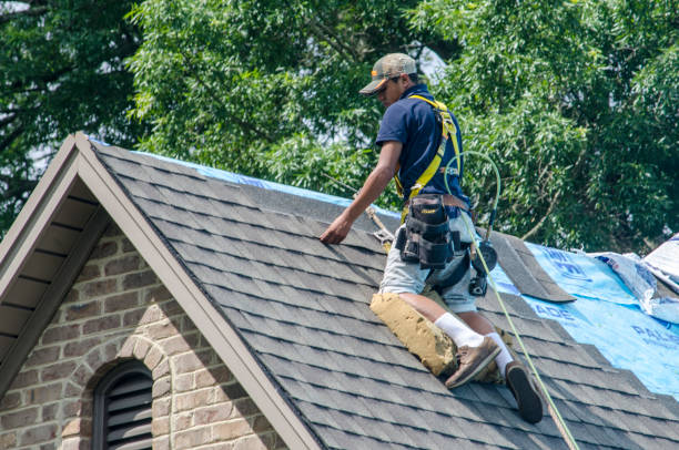 Roof Gutter Cleaning in Harlan, IA